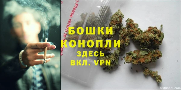 гидра Гусиноозёрск