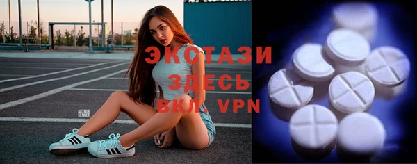 гидра Гусиноозёрск