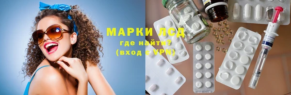 гидра Гусиноозёрск