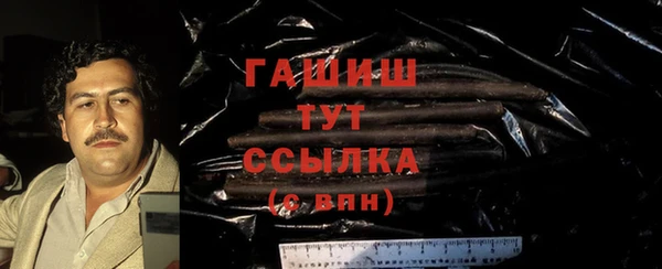 гидра Гусиноозёрск