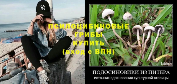 гидра Гусиноозёрск